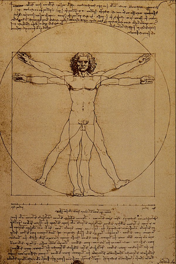 501085 Studio Del Corpo Umano , Leonardo Da Vinci A4 Photo Print