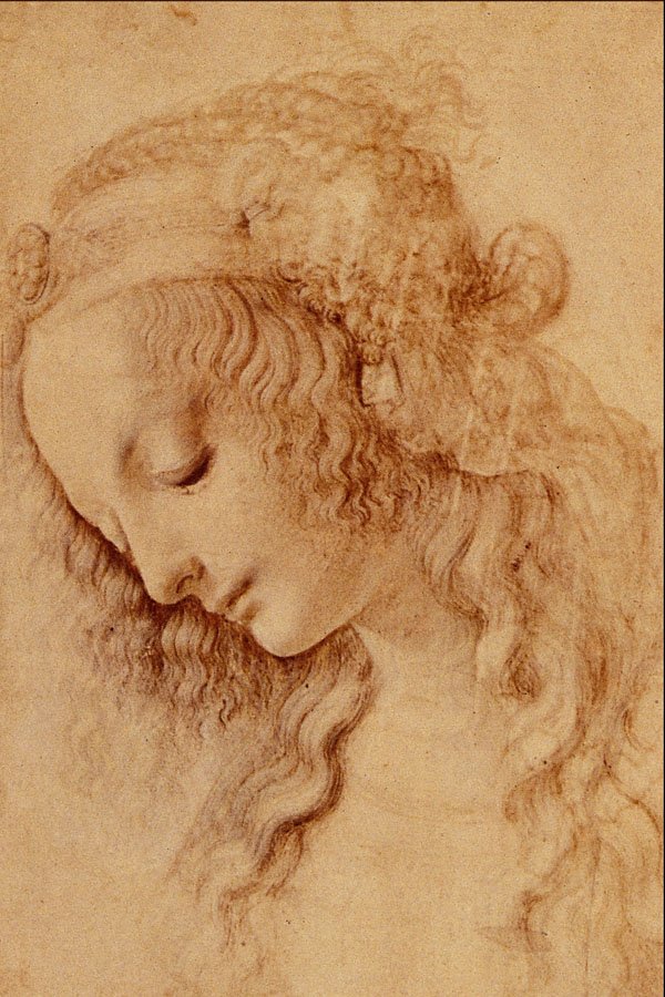501097 Teste Di Donna Di Profilo , Leondardo Da Vinci A4 Photo Print