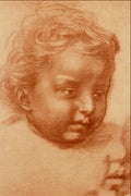 501099 Testa Di Putto , Andrea Del Sarto A4 Photo Print