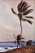 502031 The Palm Tree, Nassau , Winslow Homer A4 Photo Print