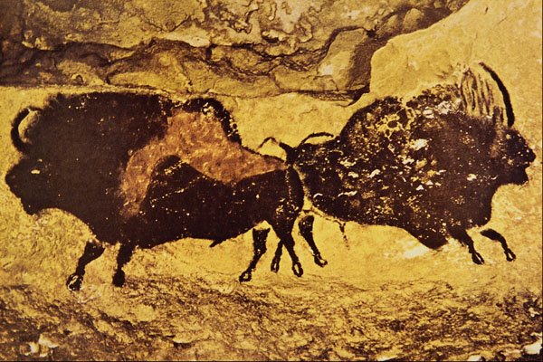 503000 Bisons , Lascaux, Dordogne, France A4 Photo Print