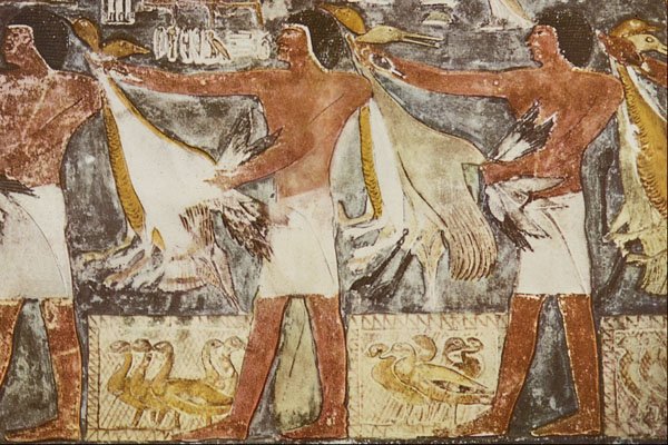 503022 Ritual Offering Of Geese And Cranes  A4 Photo Print