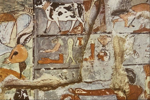 503023 Offerings , Necropolis Of Memphis At Saqqara A4 Photo Print