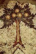 503071 Tree , Caesarea, Church Outside The Walls, Israel A4 Photo Print