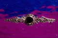 504000 Onyx And Silver Pin A4 Photo Print