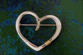 504032 Sterling Silver Brooch A4 Photo Print