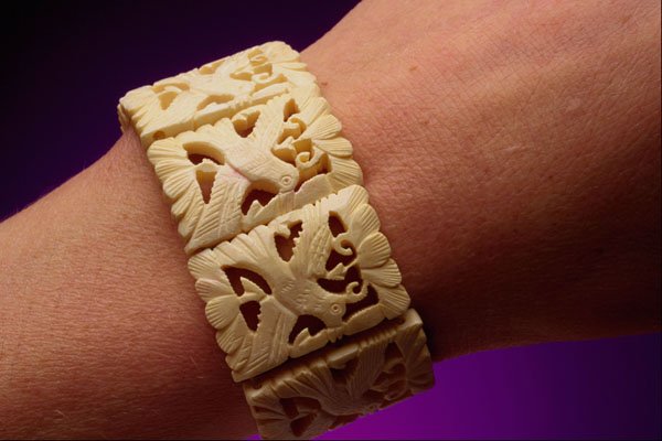 504039 Ivory Bracelet A4 Photo Print