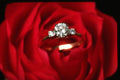 504078 Diamond Ring A4 Photo Print