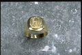 504079 Graduation Ring A4 Photo Print