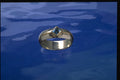 504097 Sterling Silver Ring With Blue Topaz A4 Photo Print