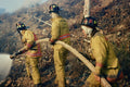 505016 Canyon Fire Behind Row Of Single family Homes A4 Photo Print