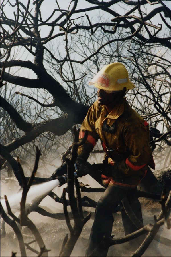 505019 Fire Fighter Battles Heavy Brush At Wildland Fire A4 Photo Print