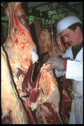 506029 Butcher A4 Photo Print