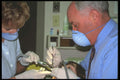 506031 Dentist A4 Photo Print