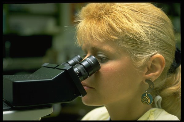 506040 Technician At Microscope A4 Photo Print