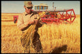 506048 Harvest Shot, Canadian Prairies A4 Photo Print