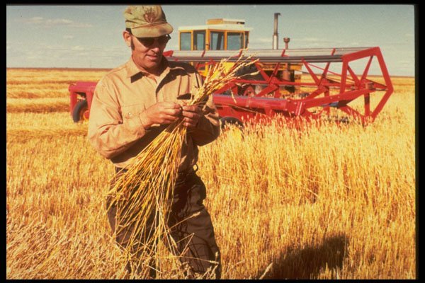 506048 Harvest Shot, Canadian Prairies A4 Photo Print