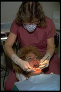 506070 Patient Getting Teeth Cleaned At Dentist's Office A4 Photo Print