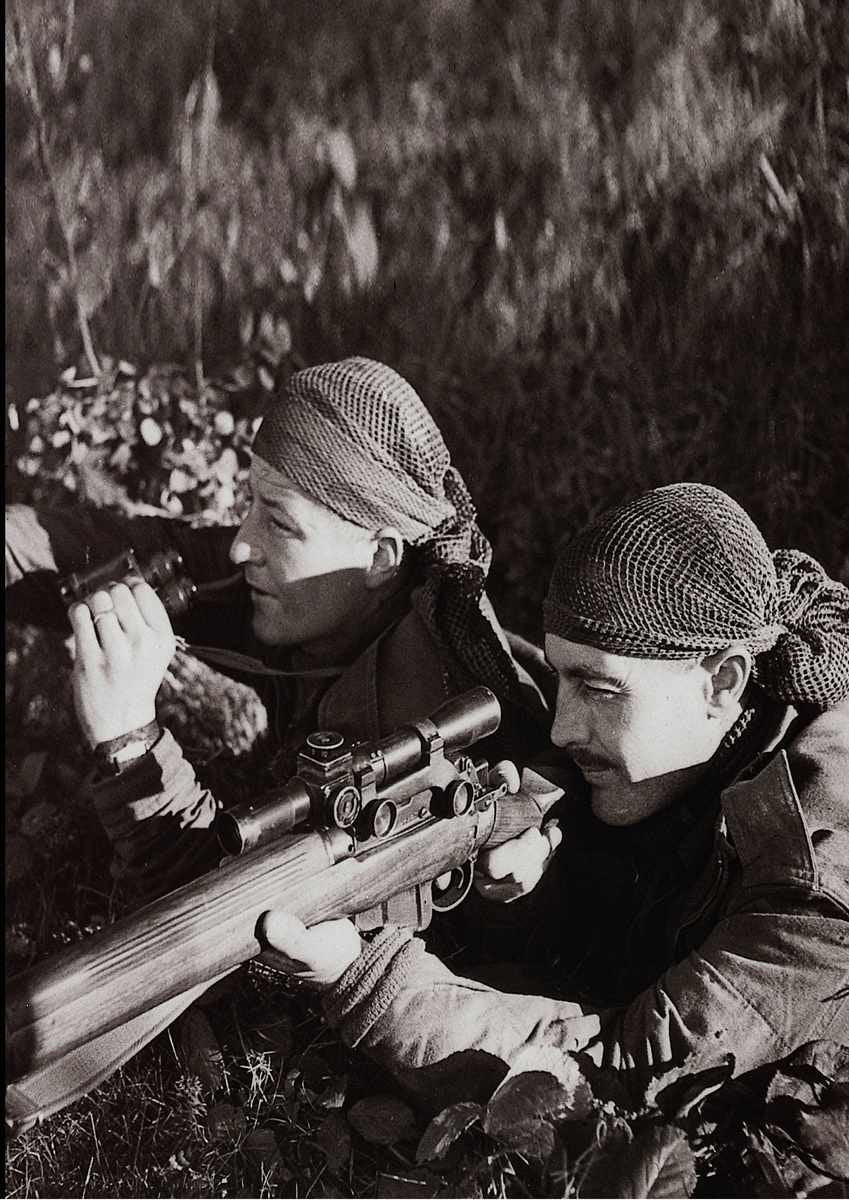 507041 Troops Sighting For Snipers France 1944 Bell DND PA 141723 A4 Photo Print