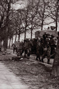 507093 German POWs, Netherlands, 1945, Guravich, DND PA 130924 A4 Photo Print