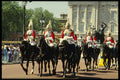 509019 Household Cavalry On Horseback, London A4 Photo Print