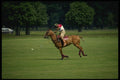 509028 Polo Player In Richmond Park A4 Photo Print