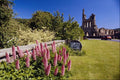 509065 Byland Abbey A4 Photo Print