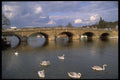 509076 Henley A4 Photo Print