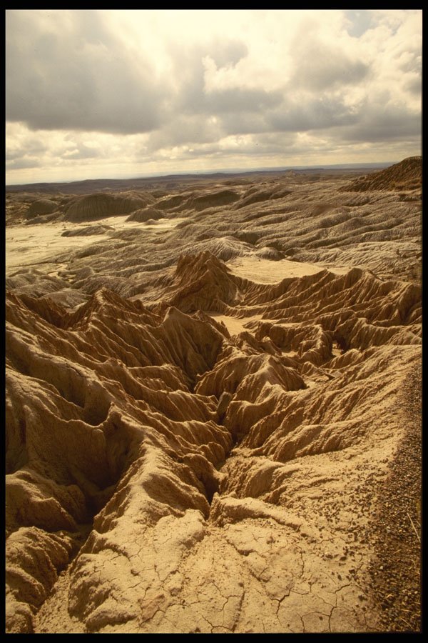 510000 Unearthly Landscape, Yellowstone National Park A4 Photo Print