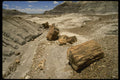 510042 Along The Blue Mesa Trail, Petrified Forest, Arizona A4 Photo Print