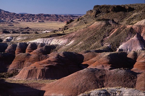 510046 Petrified Forest National Park, Arizona A4 Photo Print