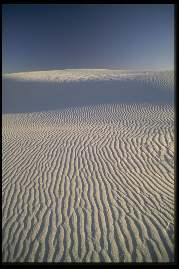 510049 Wind worn Sahara A4 Photo Print