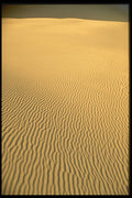510050 Morning Sand, Sahara A4 Photo Print