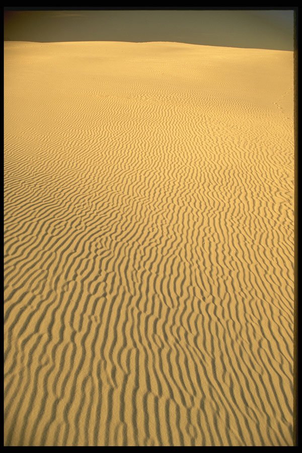 510050 Morning Sand, Sahara A4 Photo Print