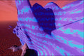 510059 Purple Titanic Landmass A4 Photo Print