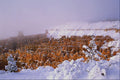 510076 Bryce Canyon In Winter A4 Photo Print