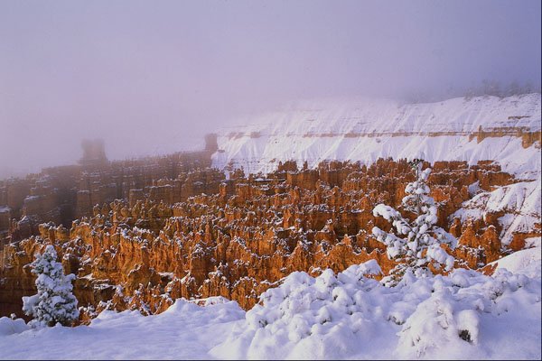 510076 Bryce Canyon In Winter A4 Photo Print