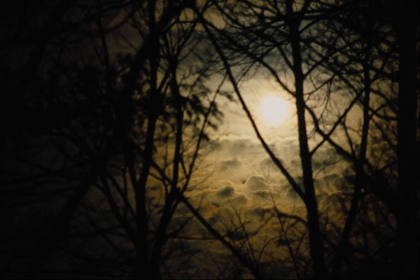 510098 Moonscape A4 Photo Print