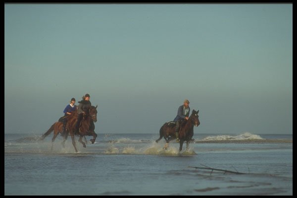 511000 Horseback Riding, Denmark A4 Photo Print