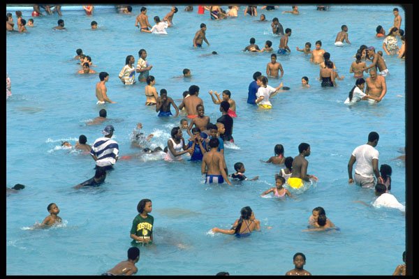 511003 Swimming Scene, Central Park, New York City A4 Photo Print