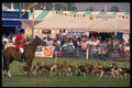 511013 Huntsman With Hounds, England A4 Photo Print
