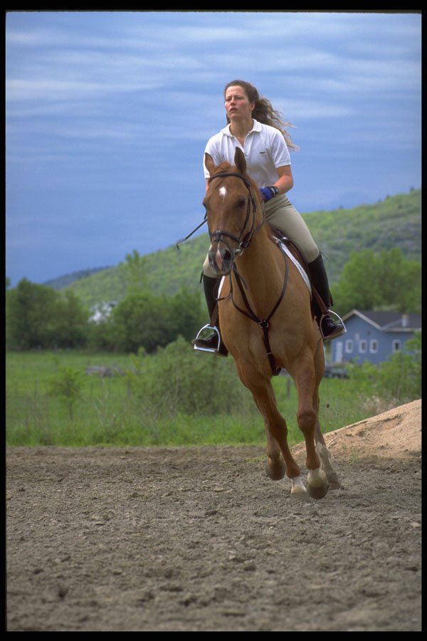 511039 English Riding A4 Photo Print