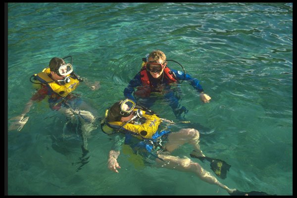 511051 Three Divers In Water, British Virgin Islands A4 Photo Print