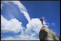 511060 Hiking, Breckenridge A4 Photo Print