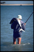 511073 King Mackerel, Indian Ocean, Australia A4 Photo Print