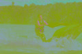 511083 Jet Ski Joey A4 Photo Print