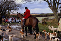 511090 Huntsman With Hounds, England A4 Photo Print