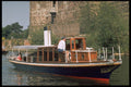 512057 Banshee A4 Photo Print