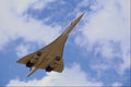 512081 Concorde, British Airways A4 Photo Print