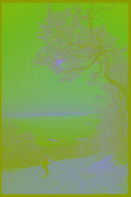 513012 Winter Landscape, New England A4 Photo Print